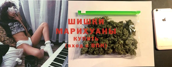 ALPHA PVP Няндома