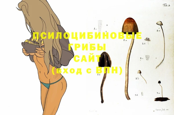MESCALINE Нязепетровск