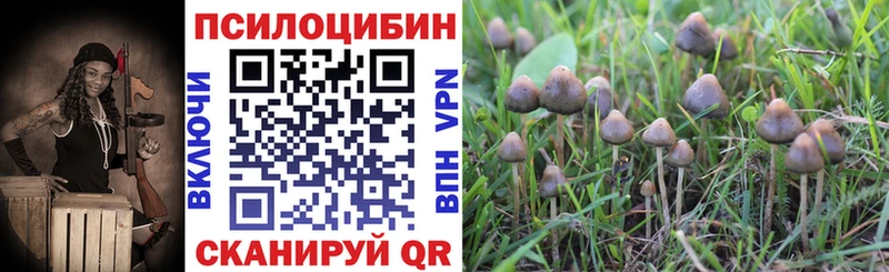 Галлюциногенные грибы Magic Shrooms  как найти   Монино 